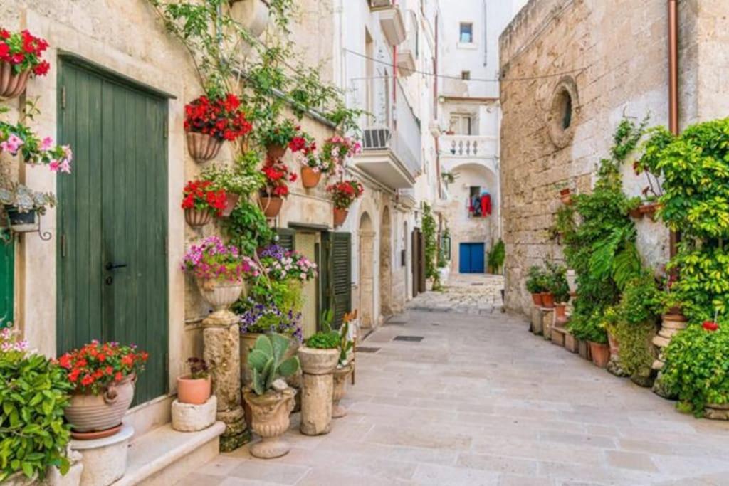 Il Mare In Citta. Appartamento Vista Mare 莫诺波利 外观 照片